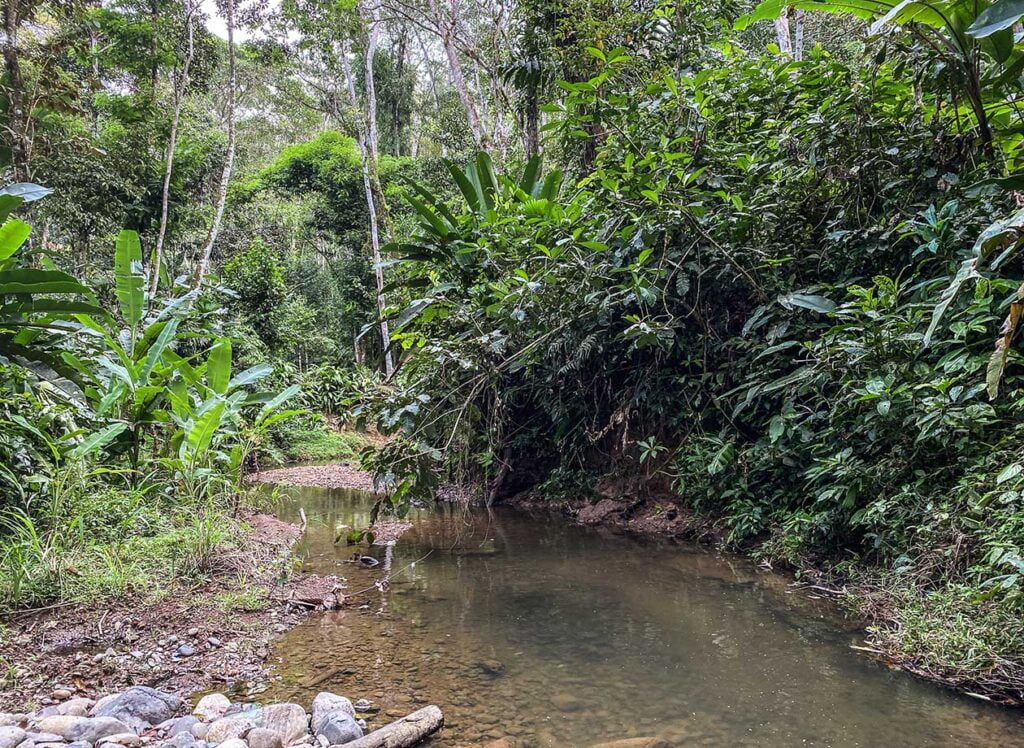 Terreno en Venta Manzanillo