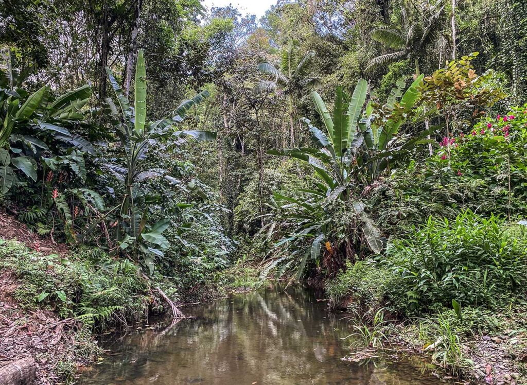 Terreno en Venta Manzanillo