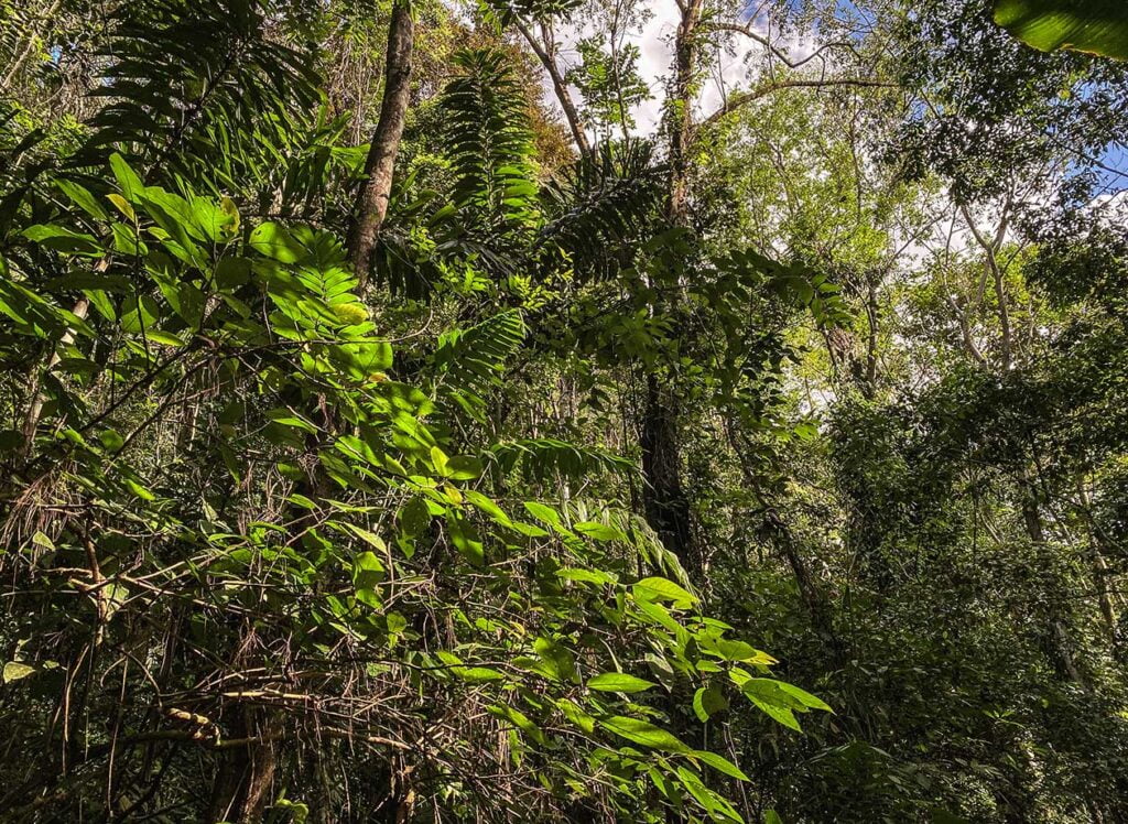 Terreno en Venta Manzanillo