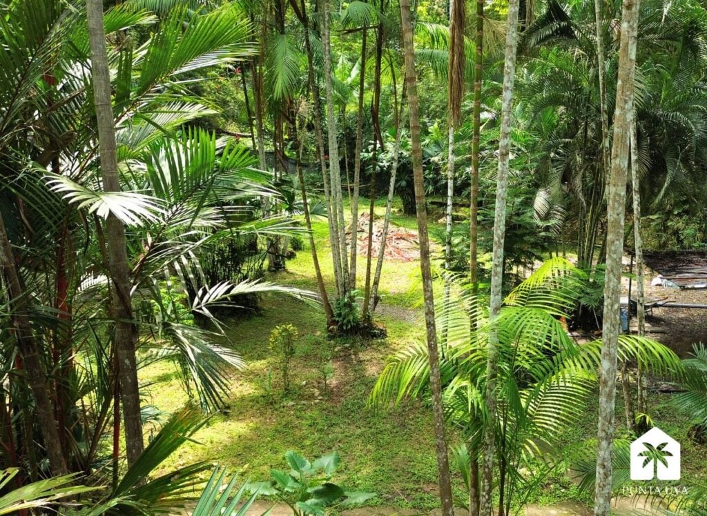 Lote en Venta a Pasos de la Playa Punta Uva 3 2