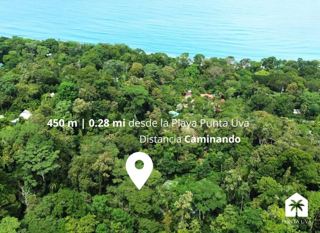 Lote en Venta a Pasos de la Playa Punta Uva 4 6