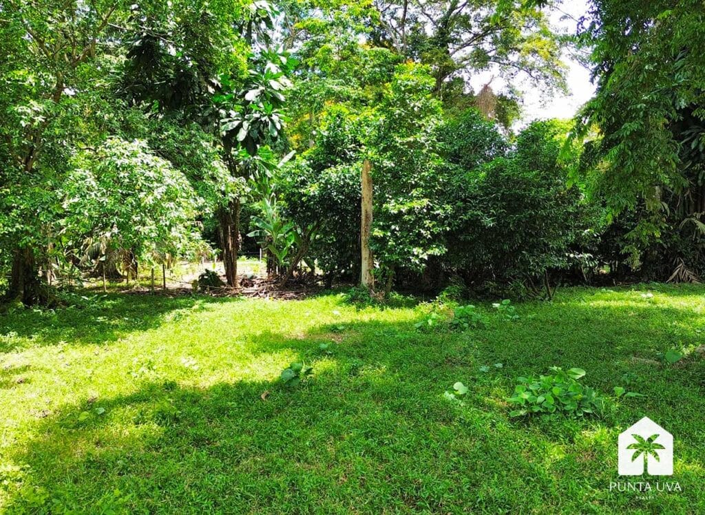 DCIM100MEDIADJI_0454.JPG