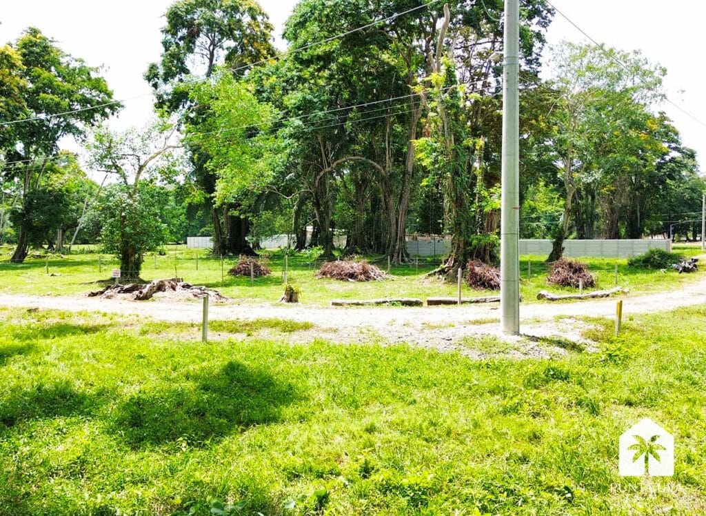 DCIM100MEDIADJI_0462.JPG
