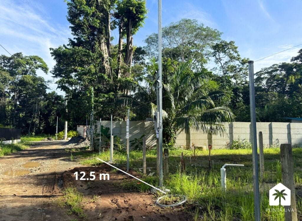 Playa Negra new bull