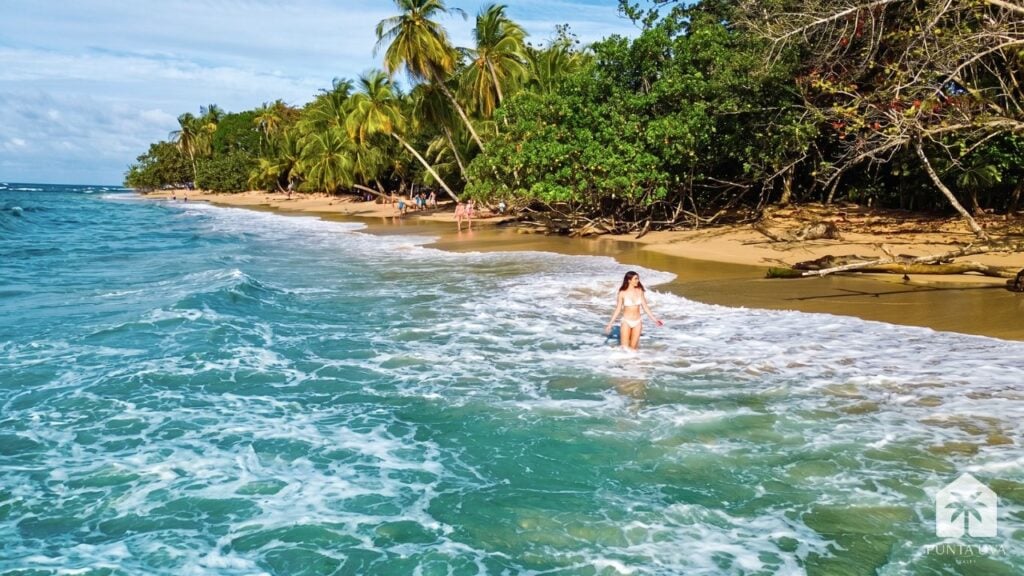 punta uva realty article 2