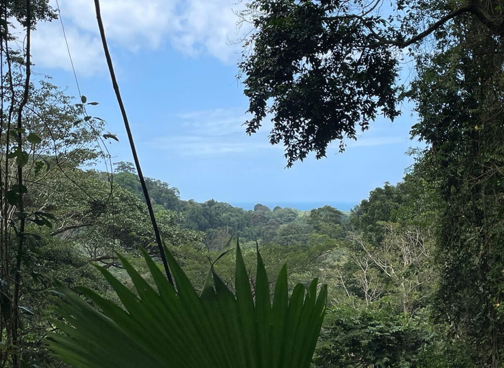 Costa Rica property for sale