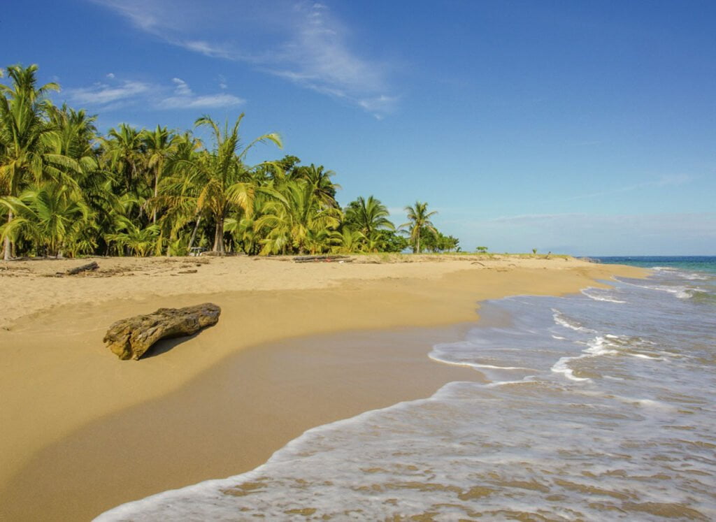 Caribbean Sur, Punta Uva Beach & Calle Paraíso​