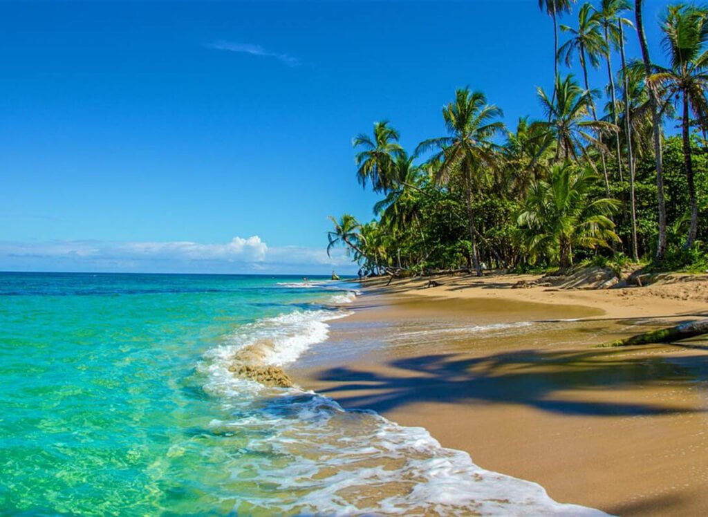 Caribbean Sur, Punta Uva Beach & Calle Paraíso​
