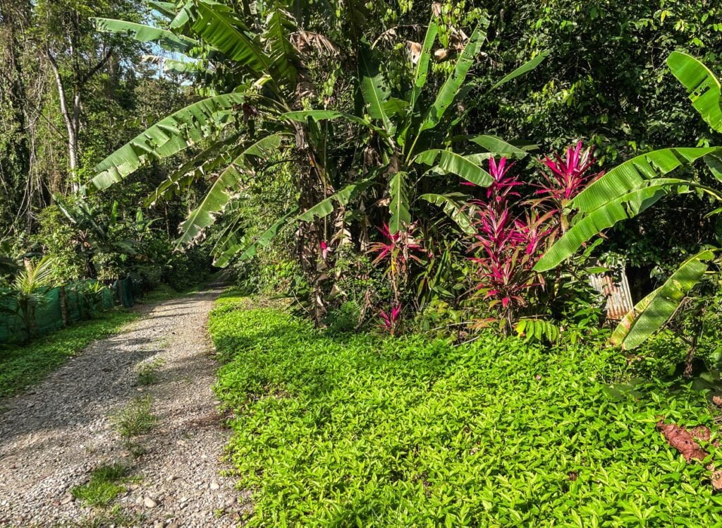 Costa Rica property for sale