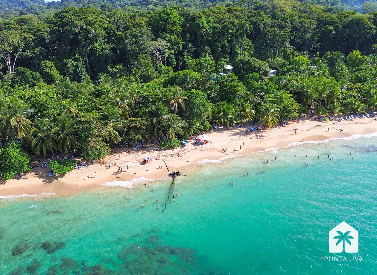 Land For Sale Costa Rica In Puerto Viejo 