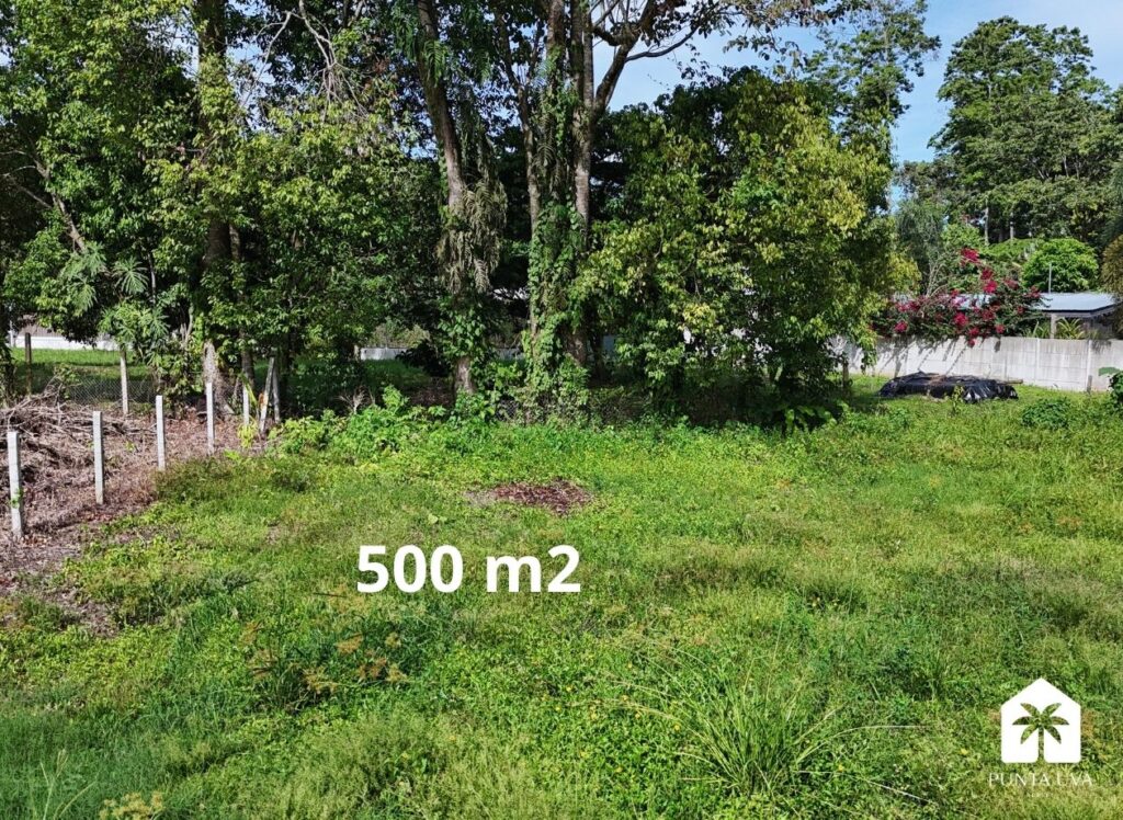 Lot with Well & Electricity for Sale 0.53 miles to Beach 8 11