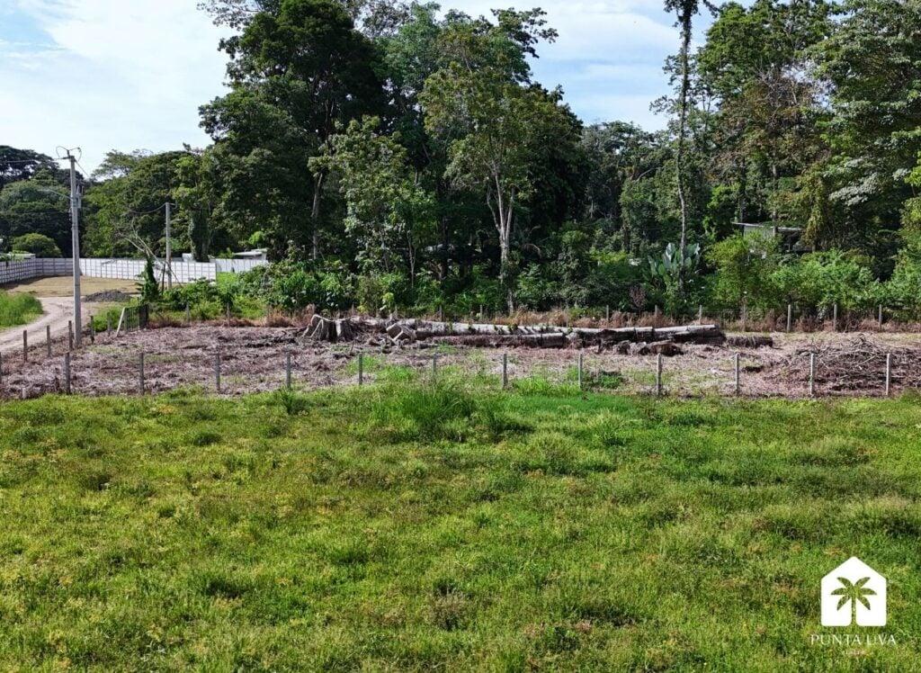 Lot with Well & Electricity for Sale 0.53 miles to Beach 10 12