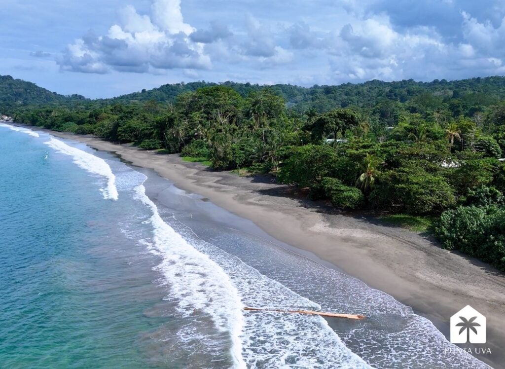 Lot with Well & Electricity for Sale 0.53 miles to Beach 15 13