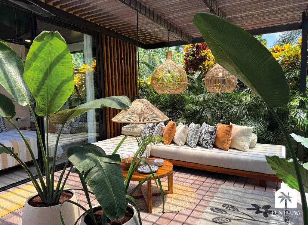 Javier new renovation26