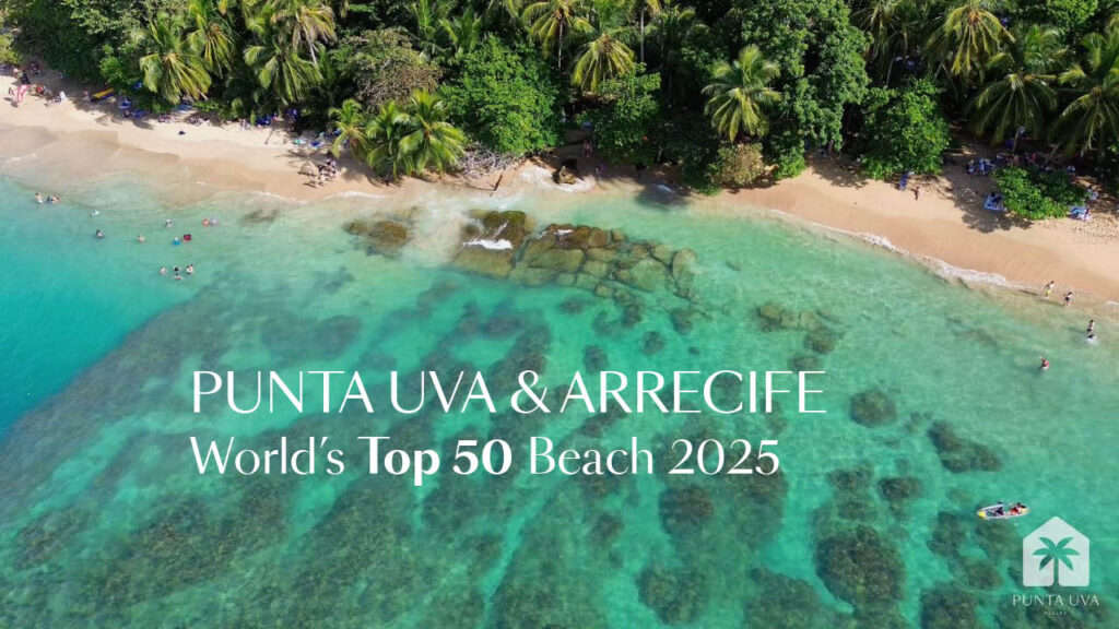 Punta Uva Realty