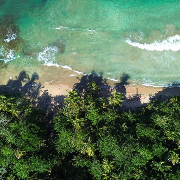 Punta Uva Realty