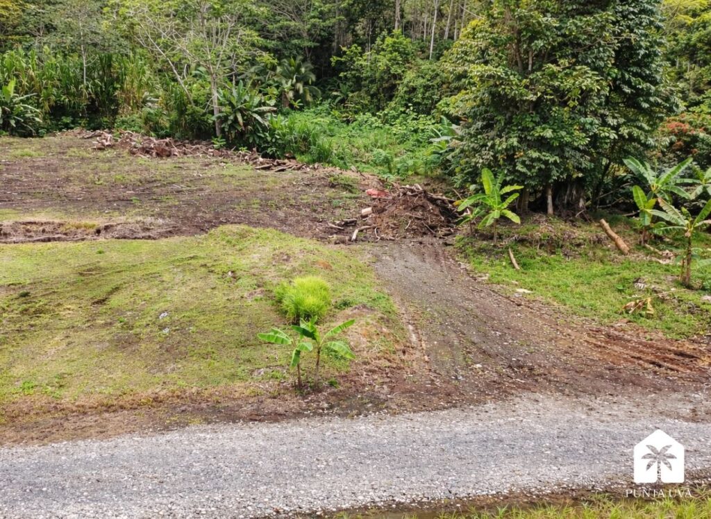 Hone Creek Playa Negra, копия, копия (2)