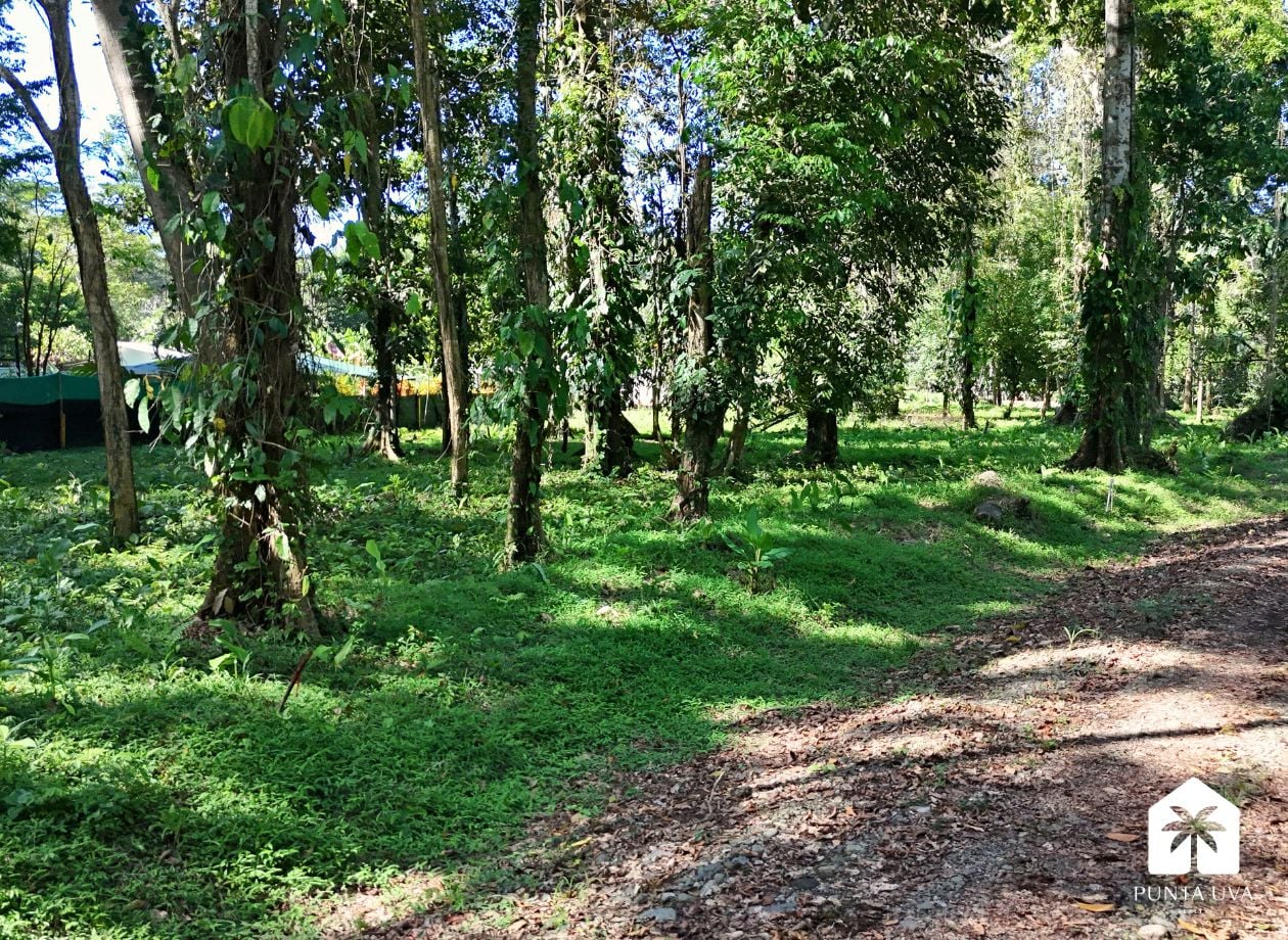 Lot for sale in Puerto Viejo de Talamanca, Limón