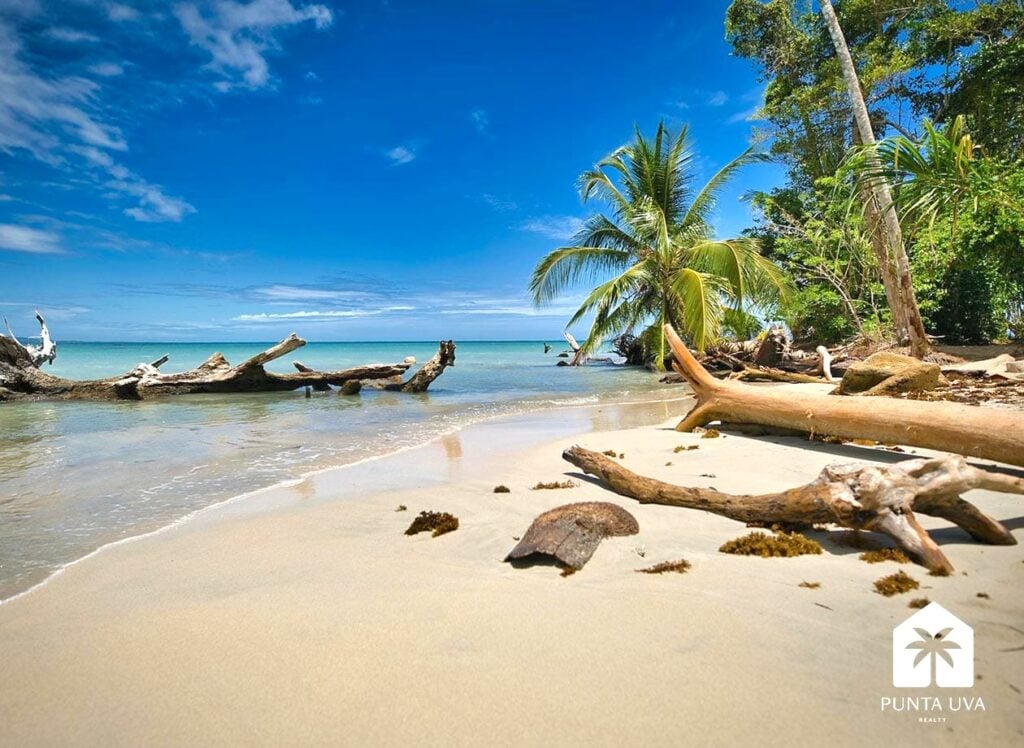 pexels-photo-12831912