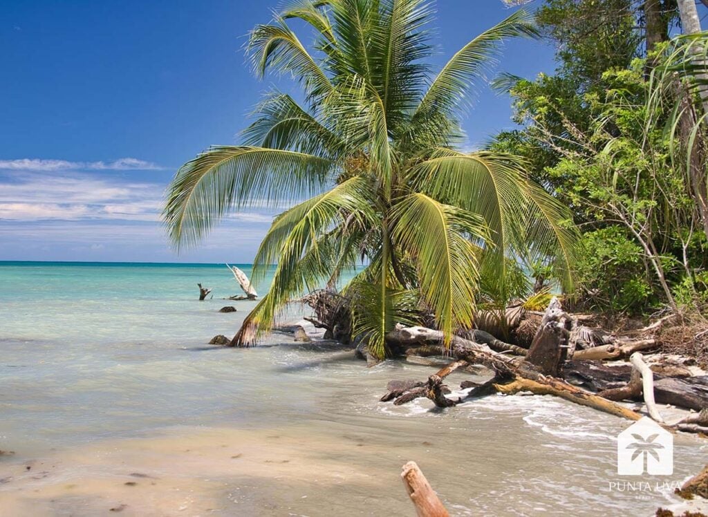 pexels-photo-12831944