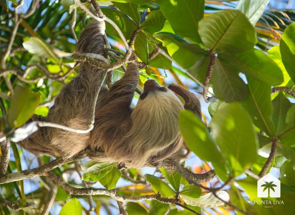 pexels-photo-12832380