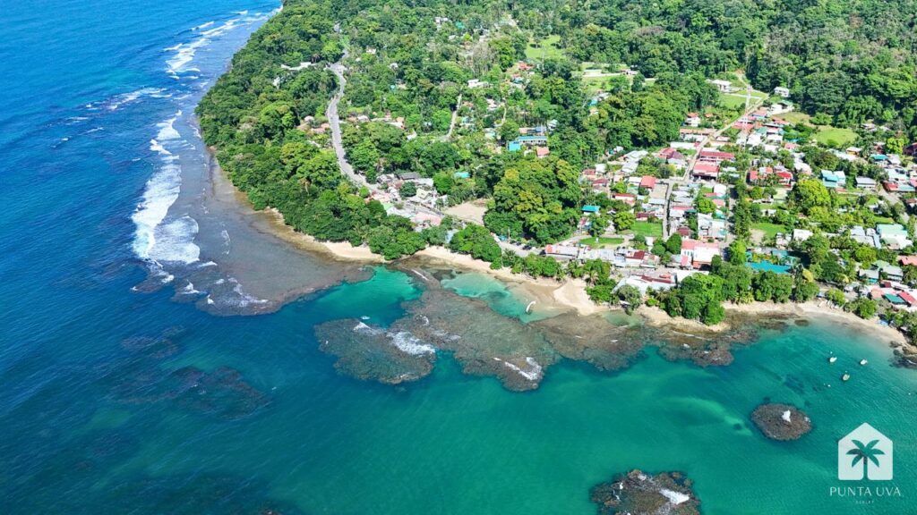 Punta Uva Realty