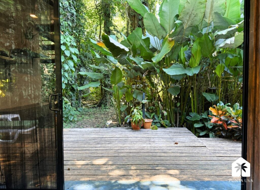 house budda (1)