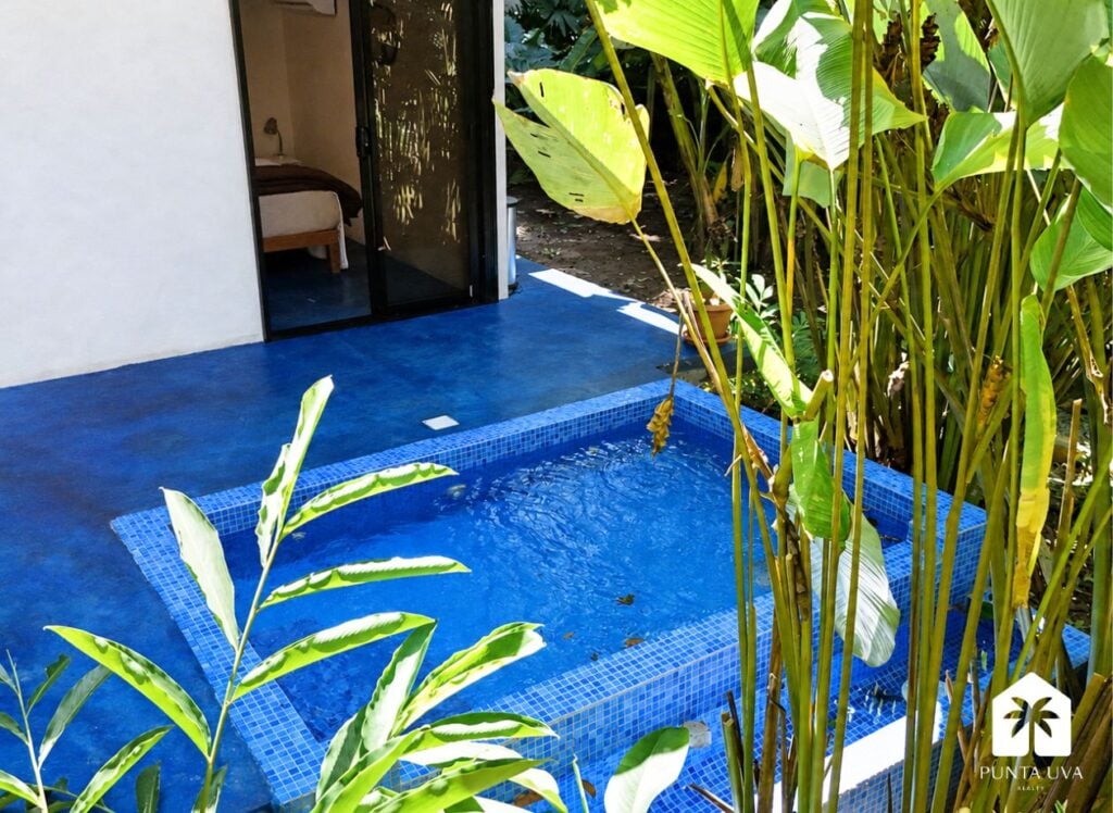 house budda